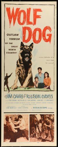 6k987 WOLF DOG insert '58 Allison Hayes, Prince the German Shepherd dog!