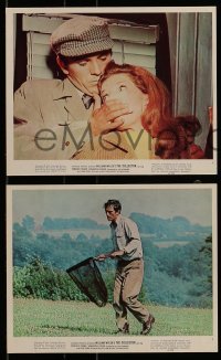 6s199 COLLECTOR 4 color 8x10 stills '65 great images of Terence Stamp & sexy Samantha Eggar!
