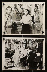 6s540 OUTPOST IN MALAYA 8 7.5x10 stills '52 Claudette Colbert, Hawkins, today's BIG adventure story