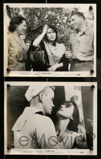 6s478 ROSE TATTOO 9 8x10 stills '55 Burt Lancaster, Anna Magnani, written by Tennessee Williams!
