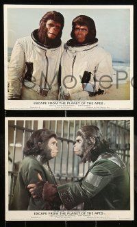 6s061 ESCAPE FROM THE PLANET OF THE APES 8 color English FOH LCs '71 McDowall, Hunter, Mineo!