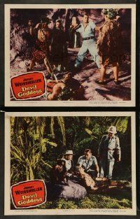 6w905 DEVIL GODDESS 2 LCs '55 Johnny Weissmuller is NOT Jungle Jim, battling the fire-priestess!