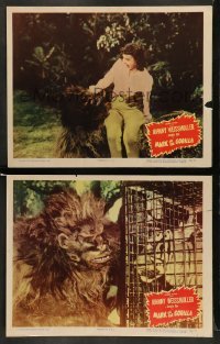 6w951 MARK OF THE GORILLA 2 LCs '51 giant fake ape with Trudy Marshall and tiger in cage!