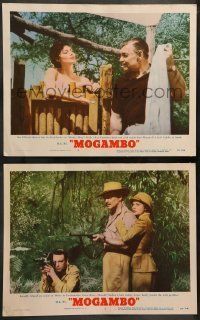 6w953 MOGAMBO 2 LCs '53 Clark Gable, Grace Kelly & Ava Gardner in Africa!