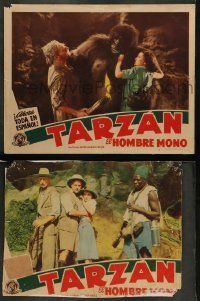 6w982 TARZAN THE APE MAN 2 Spanish/US LCs '32 Maureen O'Sullivan, C. Aubrey Smith, great fake ape!