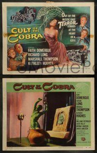 6w113 CULT OF THE COBRA 8 LCs '55 beauty Faith Domergue changed to a thing of TERROR, great images!