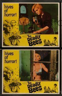 6w119 DEADLY BEES 8 LCs '67 hives of horror, fatal stings, image of sexy near-naked girl attacked!