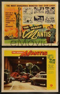 6w120 DEADLY MANTIS 8 LCs '57 Craig Stevens, Alix Talton, William Hopper, giant insect horror!
