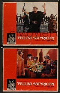 6w514 FELLINI SATYRICON 7 LCs '70 Federico's Italian cult classic, Rome before Christ, wild images!