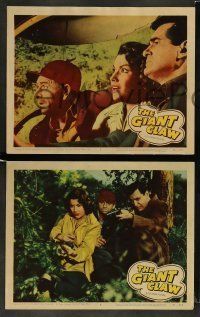 6w797 GIANT CLAW 3 LCs '57 Jeff Morrow, Mara Corday, Fred F. Sears directed, cool sci-fi images!