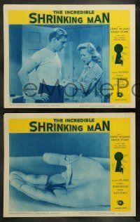 6w222 INCREDIBLE SHRINKING MAN 8 LCs R64 Jack Arnold, classic sci-fi art of tiny man & giant cat!