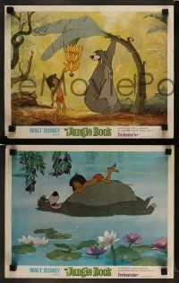 6w523 JUNGLE BOOK 7 LCs '67 Walt Disney cartoon classic, great art of Mowgli, Baloo & friends!