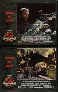 6w238 JURASSIC PARK 2 8 LCs '96 The Lost World, Steven Spielberg, something has survived!