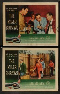 6w817 KILLER SHREWS 3 LCs '59 Ingrid Goude, James Best, great sci-fi/horror border art!