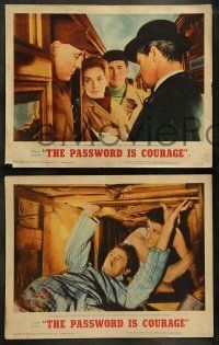 6w337 PASSWORD IS COURAGE 8 LCs '63 Dirk Bogarde in an English version of The Great Escape!