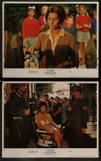 6w422 SUNFLOWER 8 LCs '70 Vittorio De Sica's I Girasoli, Sophia Loren, Marcello Mastroianni