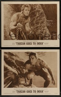 6w428 TARZAN GOES TO INDIA 8 LCs '62 great close up of Jock Mahoney as the King of the Jungle!