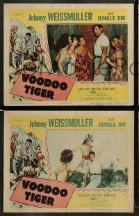6w599 VOODOO TIGER 6 LCs '52 Johnny Weissmuller as Jungle Jim & sexy Jeanne Dean!