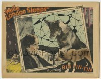7c958 WHILE LONDON SLEEPS LC 1926 great close up of dog star Rin Tin Tin helping his master!