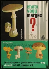 7f636 EHETO VAGY MERGES 19x27 Hungarian special 1964 mushroom varieties by Gebhart!