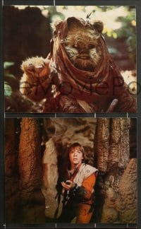 7s042 CARAVAN OF COURAGE 8 color 8x10 stills 1984 An Ewok Adventure, Star Wars, images w/ no slugs!