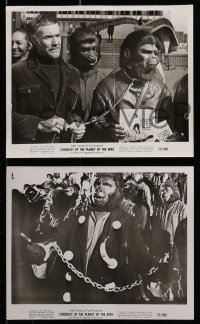 7s474 CONQUEST OF THE PLANET OF THE APES 9 8x10 stills 1972 Roddy McDowall, the revolt of the apes!