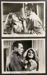 7s376 KITTEN WITH A WHIP 13 8x10 stills 1964 cool images of sexy bad Ann-Margret & John Forsythe!