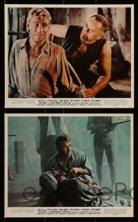 7s009 LORD JIM 11 color 8x10 stills 1965 Richard Brooks, images of Peter O'Toole!