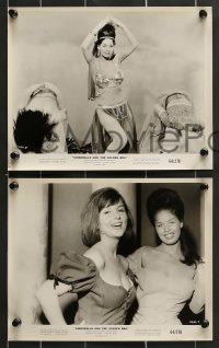 7s821 SINDERELLA & THE GOLDEN BRA 4 8x10 stills 1964 a version for those who think young and naughty!
