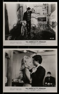 7s698 UMBRELLAS OF CHERBOURG 6 8x10 stills 1965 sexy Catherine Deneuve, directed by Jacques Demy!