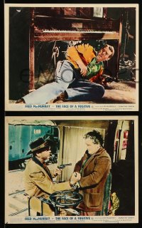 7s159 FACE OF A FUGITIVE 5 color English FOH LCs 1959 Fred MacMurray is falsely accused of murder!