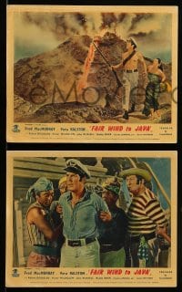 7s148 FAIR WIND TO JAVA 6 color English FOH LCs 1953 MacMurray & sexy Vera Ralston in South Seas!
