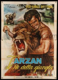 7t184 KING OF THE JUNGLE Italian 2p 1969 best Tarantelli artwork of Tarzan rip-off wrestling lion!