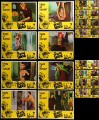 7x008 LOT OF 32 DEADLY BEES LOBBY CARDS 1967 four identical complete sets of 8 cards!