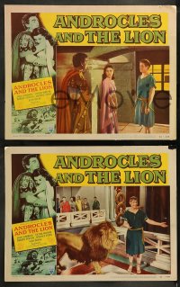 7z653 ANDROCLES & THE LION 5 LCs 1952 Victor Mature, beautiful Jean Simmons, border art  of big cat!