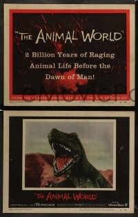 7z051 ANIMAL WORLD 8 LCs 1956 Irwin Allen, great special fx image & artwork of dinosaurs!