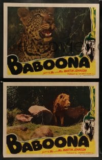 7z654 BABOONA 5 LCs R1940s Osa & Martin Johnson, art of angry baboon and images of jungle animals!