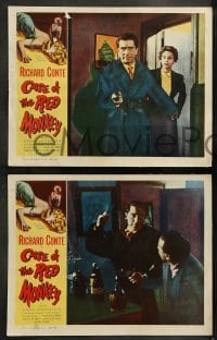 7z109 CASE OF THE RED MONKEY 8 LCs 1955 Richard Conte solves the impossible crime, Rona Anderson!
