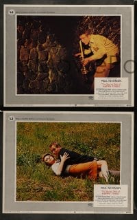 7z642 SECRET WAR OF HARRY FRIGG 6 LCs 1968 great images of Paul Newman in title role, Sylva Koscina