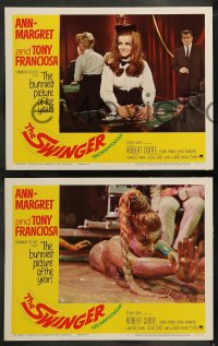 7z465 SWINGER 8 LCs 1966 great images of super sexy Ann-Margret, Tony Franciosa, casino gambling!