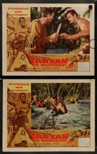 7z697 TARZAN THE MAGNIFICENT 5 LCs 1960 artwork of barechested Gordon Scott, the greatest of them all!