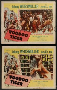 7z781 VOODOO TIGER 4 LCs 1952 Johnny Weissmuller as Jungle Jim & sexy Jeanne Dean!