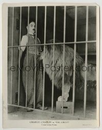 8a176 CIRCUS 7.75x10 still 1928 best image of Charlie Chaplin as The Tramp in cage with lion!