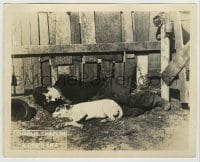 8a239 DOG'S LIFE 8x10 LC 1918 close up of Charlie Chaplin laying on ground with dog by fence!