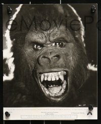 8d746 KING KONG presskit w/ 5 stills 1976 John Berkey close up art of the BIG Ape!