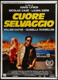 8f471 WILD AT HEART Italian 1p 1990 David Lynch, different image of Nicolas Cage & Laura Dern!