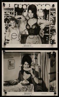 8h509 BOCCACCIO '70 7 8x10 stills 1962 sexiest Sophia Loren, Romy Schneider & more!