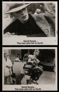 8h535 MAN WHO FELL TO EARTH 7 8x10 stills 1976 alien David Bowie, Candy Clark, Rip Torn, Roeg!