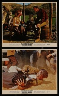 8h200 RARE BREED 3 color 8x10 stills 1966 Texas leader James Stewart, Maureen O'Hara, Brian Keith!