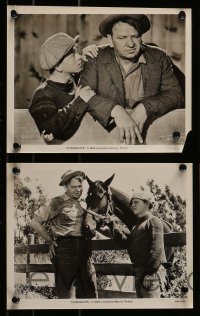 8h738 STABLEMATES 5 8x10 stills 1938 great images of Wallace Beery, Mickey Rooney & race horse!